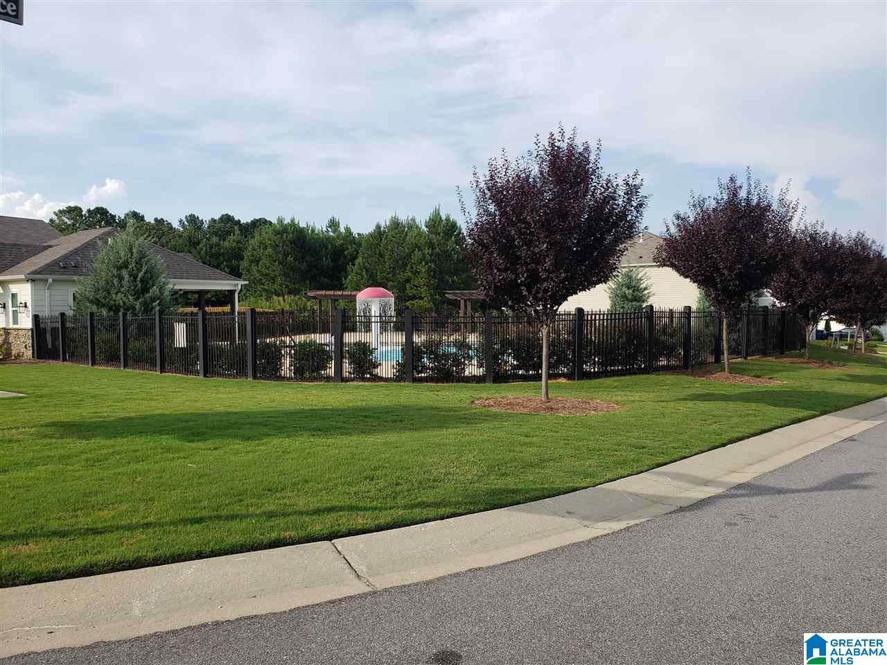 212 Polo Field Way Chelsea, AL 35043 - Photo 48 of 49