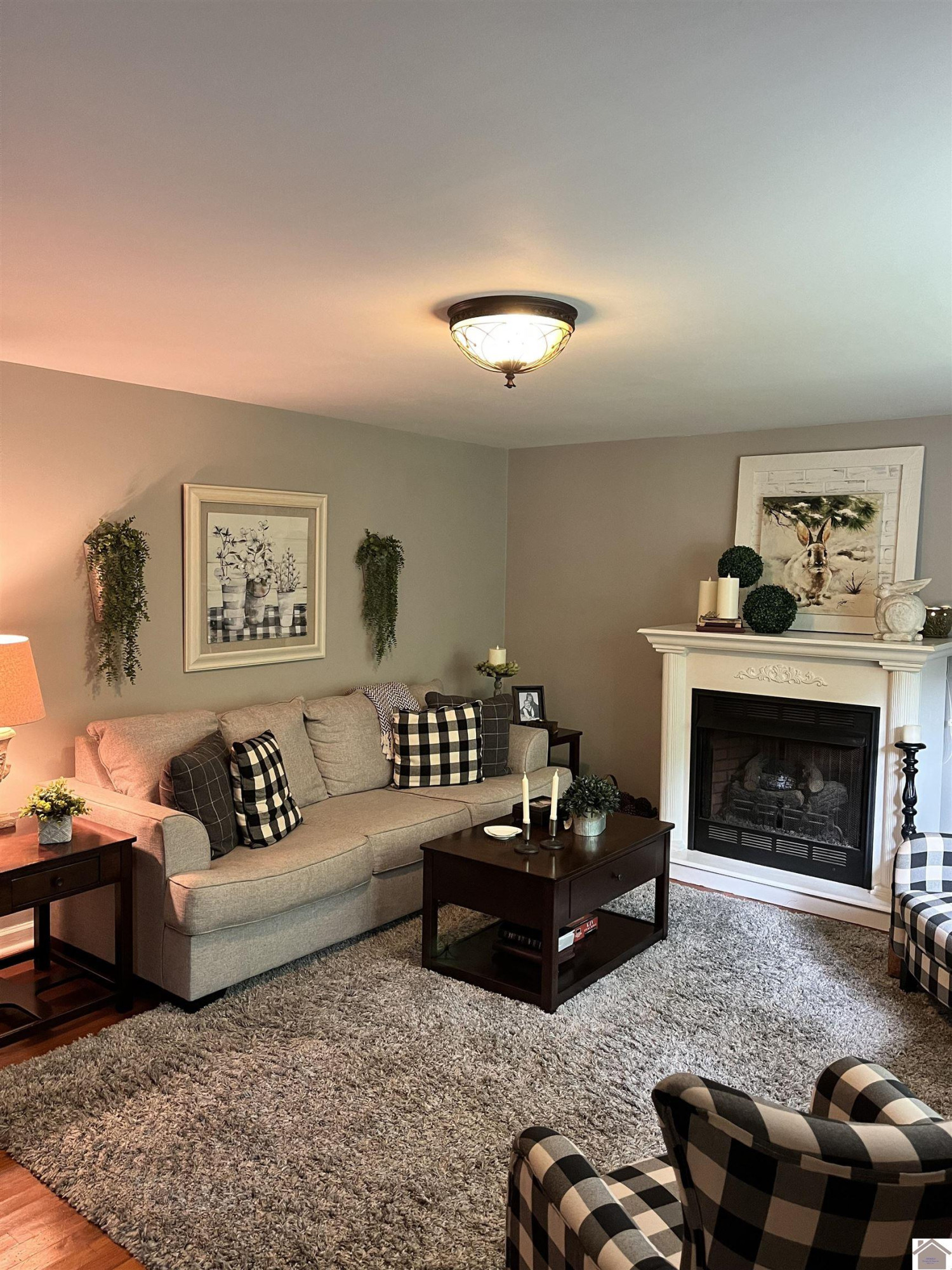 752 Clarks Ferry Road Ledbetter, KY 42058 - Photo 8 of 32 Photo 8