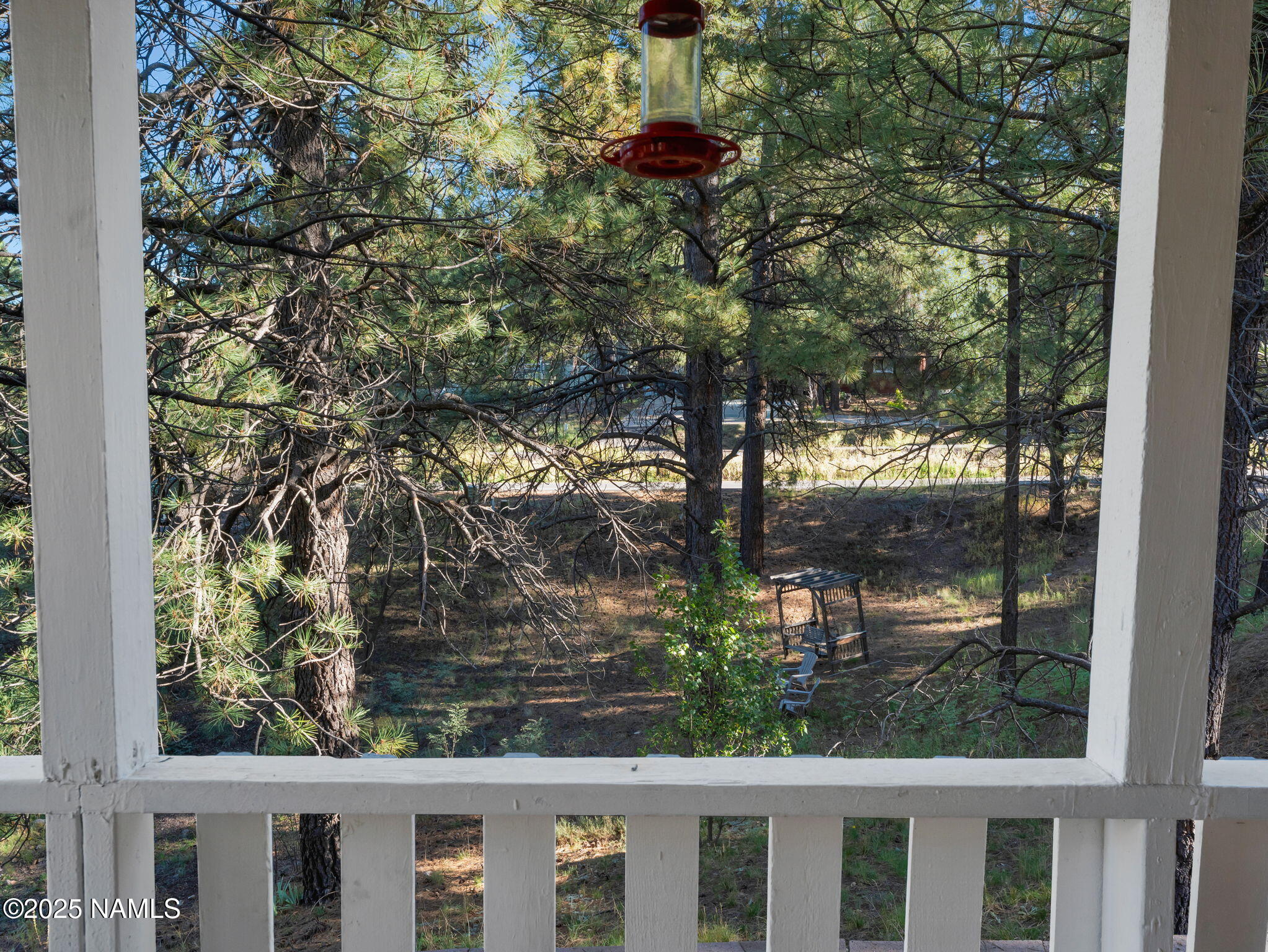 4449 Canyon Loop Flagstaff, AZ 86005 - Photo 23 of 37 a view of a yard from a window