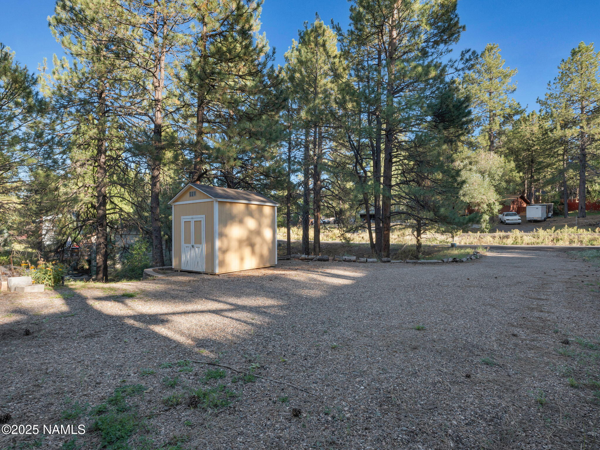 4449 Canyon Loop Flagstaff, AZ 86005 - Photo 26 of 37 a view of dirt yard with a large tree