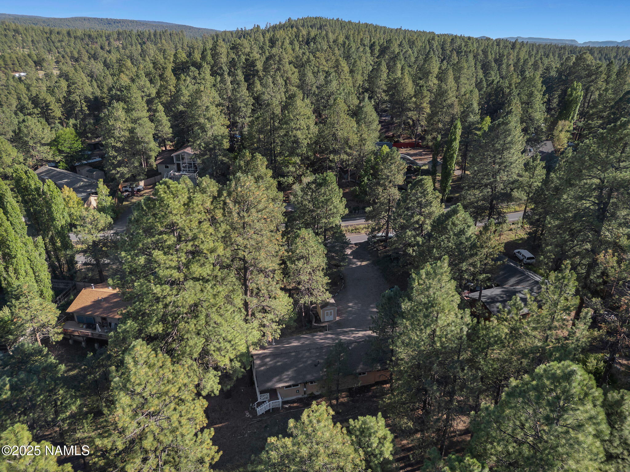 4449 Canyon Loop Flagstaff, AZ 86005 - Photo 34 of 37 a view of a forest with a house