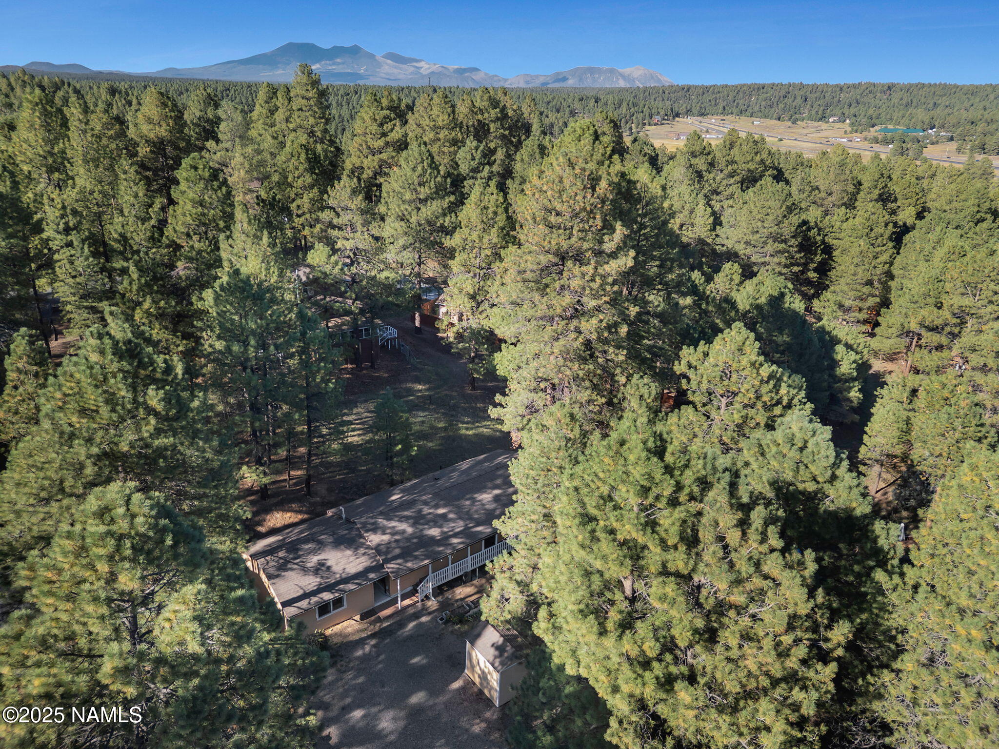 4449 Canyon Loop Flagstaff, AZ 86005 - Photo 35 of 37 a view of a forest with a forest