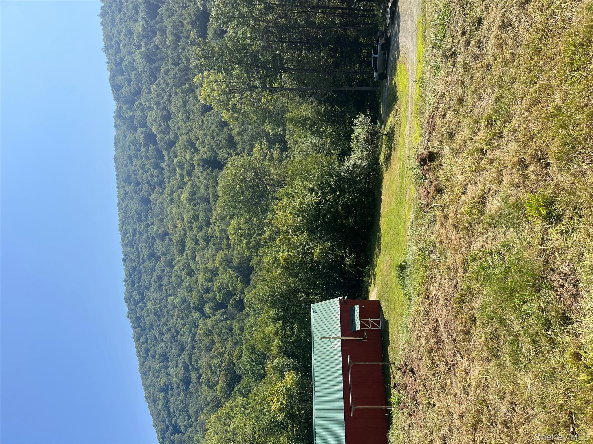 201 Basket Brook Road Long Eddy, NY 12760 - Photo 11 of 34 a view of a backyard