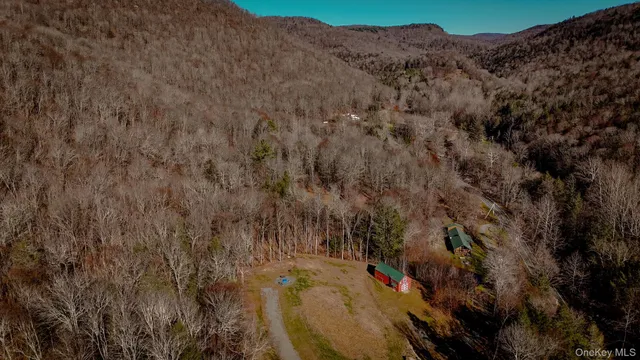 a view of a dry yard