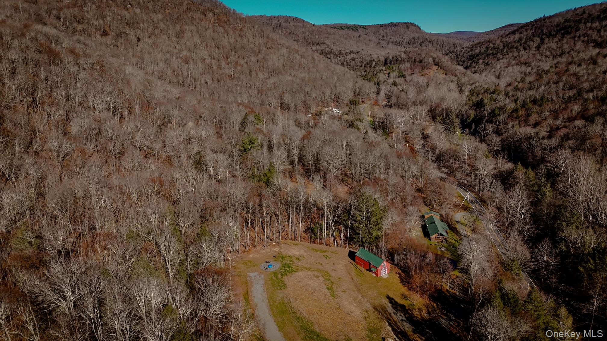 201 Basket Brook Road Long Eddy, NY 12760 - Photo 25 of 34 a view of a lot of trees and mountains