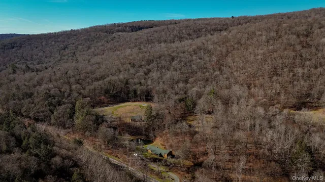 a view of a yard with a tree
