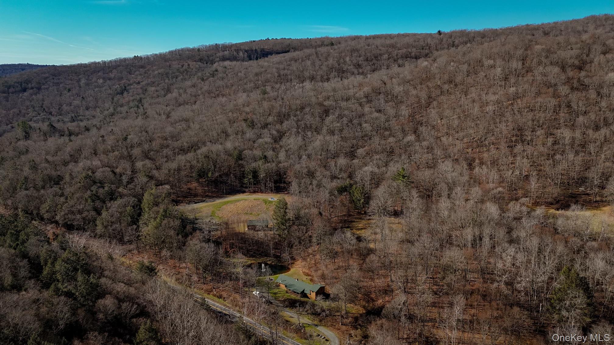 201 Basket Brook Road Long Eddy, NY 12760 - Photo 28 of 34 a view of a dry yard