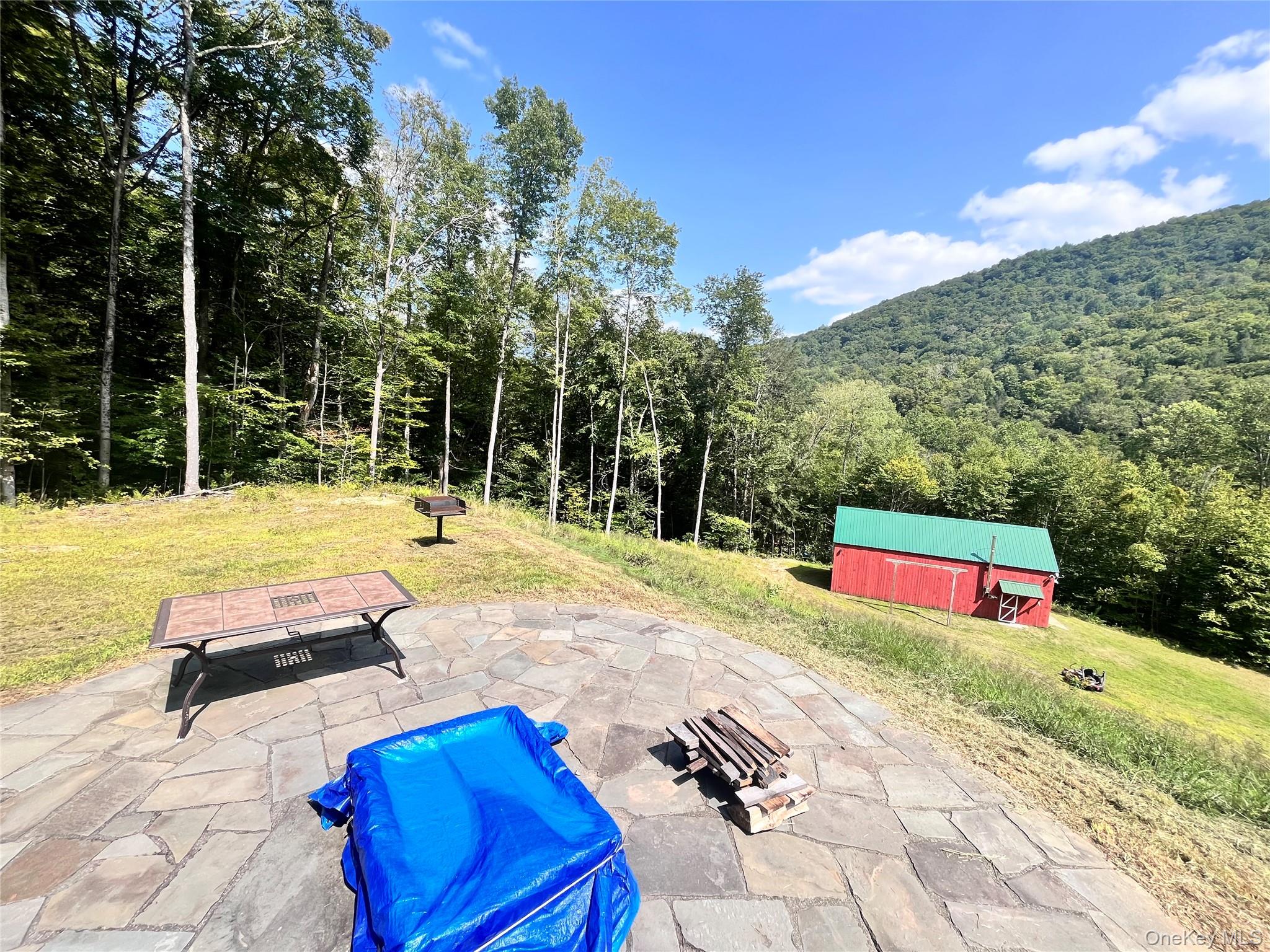 201 Basket Brook Road Long Eddy, NY 12760 - Photo 29 of 34 a view of swimming pool with a yard