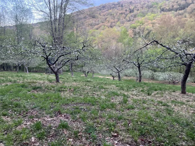 $1,250,000 | 201 Basket Brook Road, Long Eddy, NY 12760