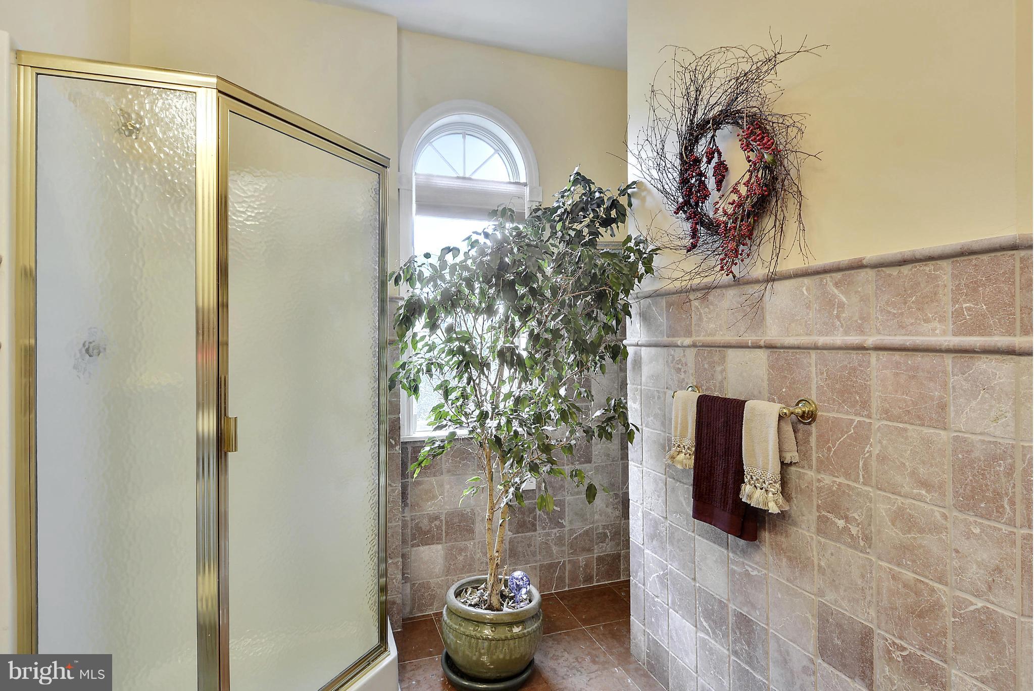 2818 Cox Neck Road Chester, MD 21619 - Photo 19 of 30 Main Level Bath / Palladian Windows Throughout