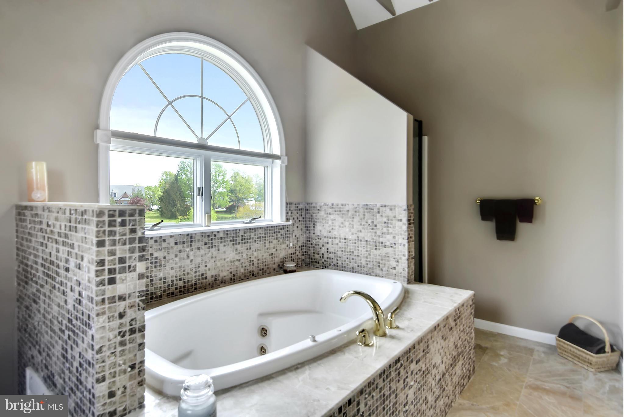 2818 Cox Neck Road Chester, MD 21619 - Photo 23 of 30 Master Bath Mosaic Tile Spa Tub / Separate Shower