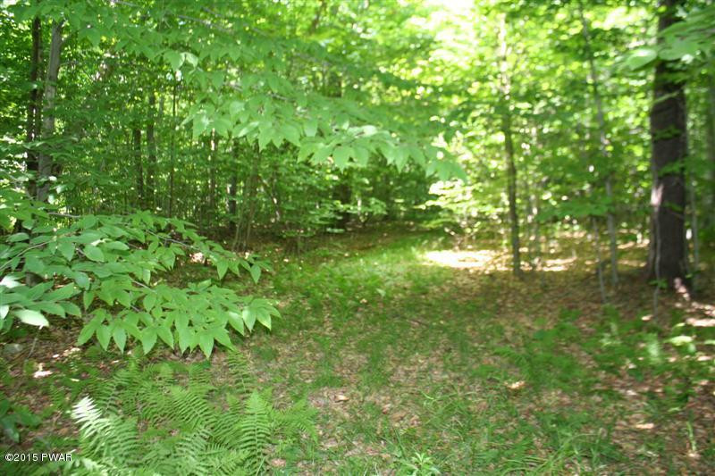 Lot 8-9 Ravnikar Road Waymart, PA 18472 - Photo 2 of 6