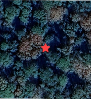 1486 North Rd Montgomery Tx 77356 Road Montgomery, TX 77356 - Photo 4 of 7 a picture of flowers