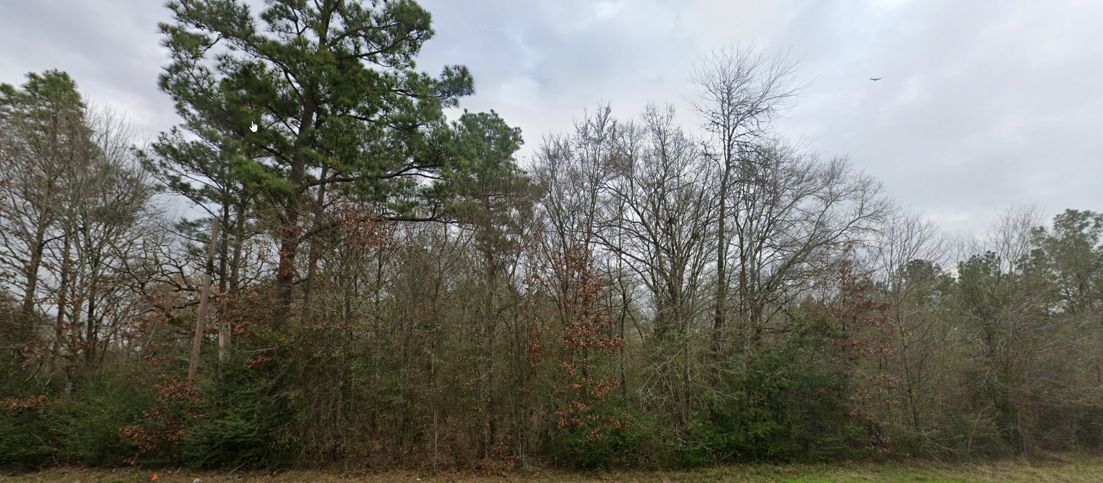 1486 North Rd Montgomery Tx 77356 Road Montgomery, TX 77356 - Photo 5 of 7