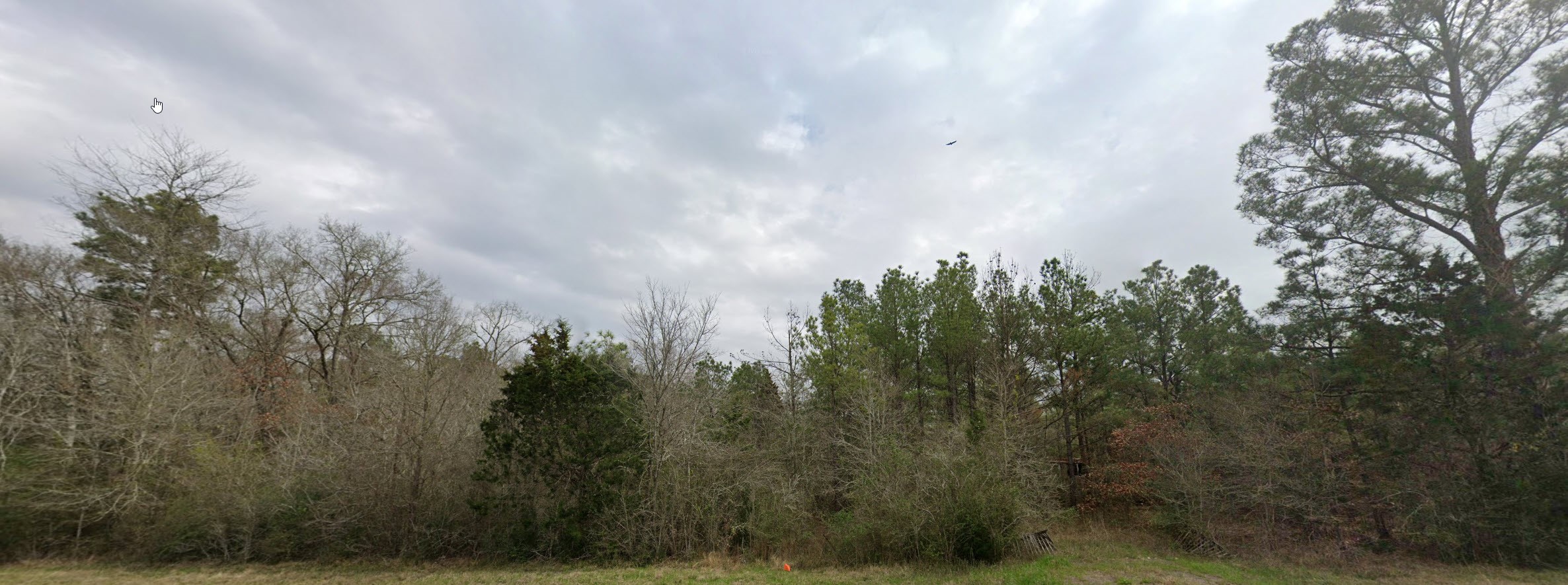 1486 North Rd Montgomery Tx 77356 Road Montgomery, TX 77356 - Photo 6 of 7 a view of a lake