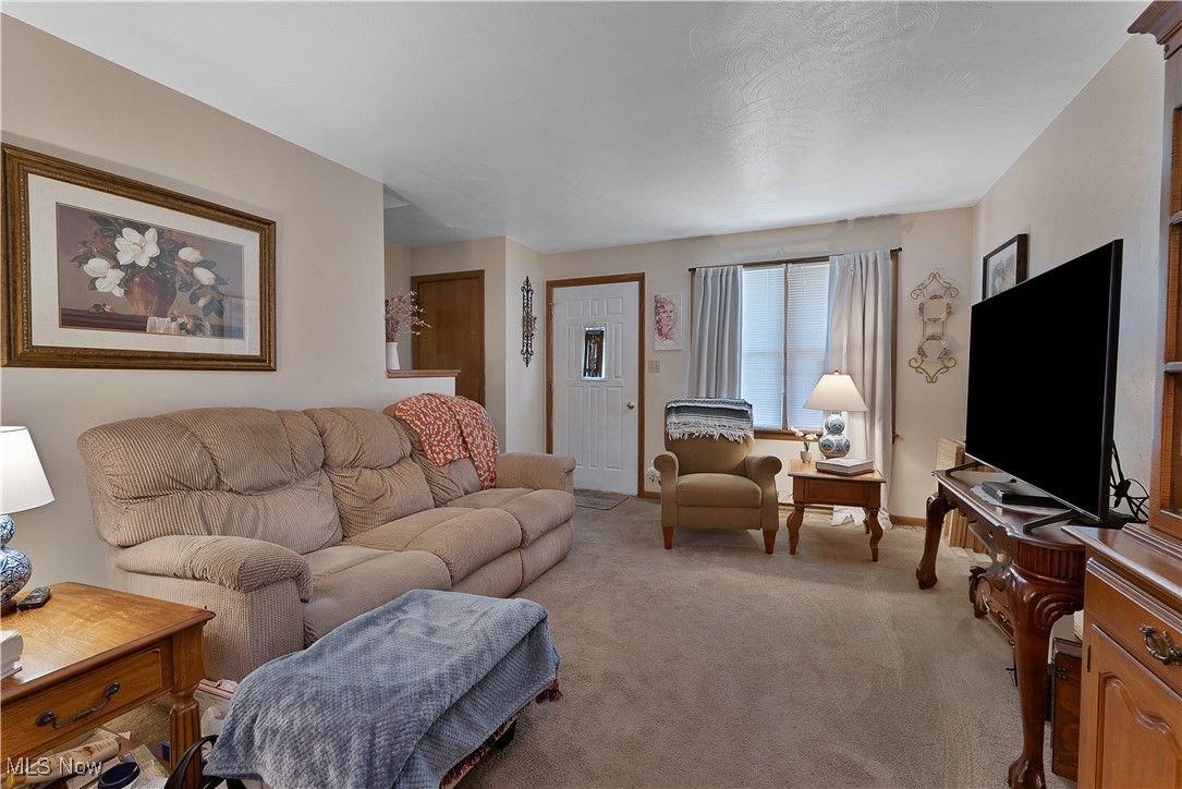 9925 Struthers Road New Middletown, OH 44442 - Photo 3 of 12 Living room featuring light carpet and baseboards