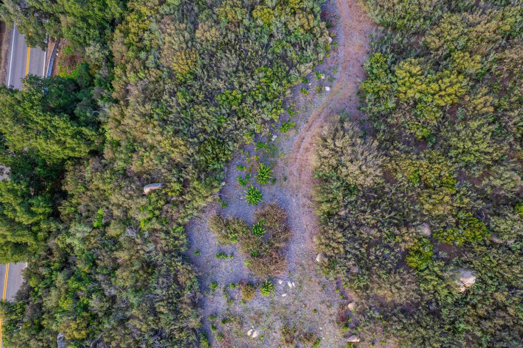2253 Honey Springs Road Jamul, CA 91935 - Photo 4 of 17