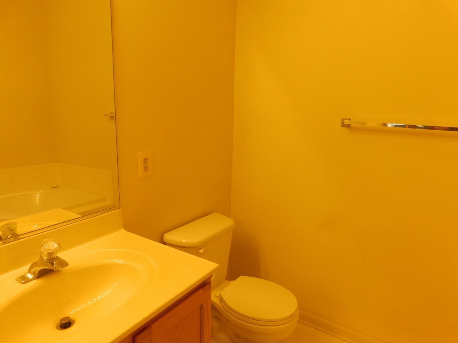 5 Keppels Mill Court Rising Sun, MD 21911 - Photo 14 of 49 Bright and airy main bathroom.