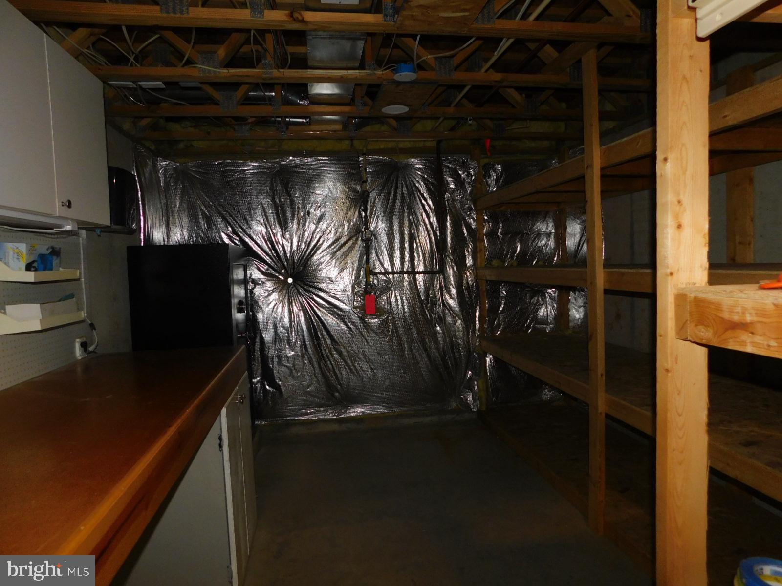 5 Keppels Mill Court Rising Sun, MD 21911 - Photo 26 of 49 Spacious, versatile storage area.