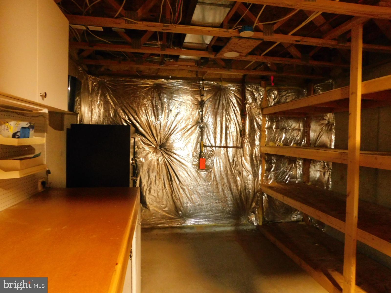 5 Keppels Mill Court Rising Sun, MD 21911 - Photo 27 of 49 Spacious garage with reflective walls.