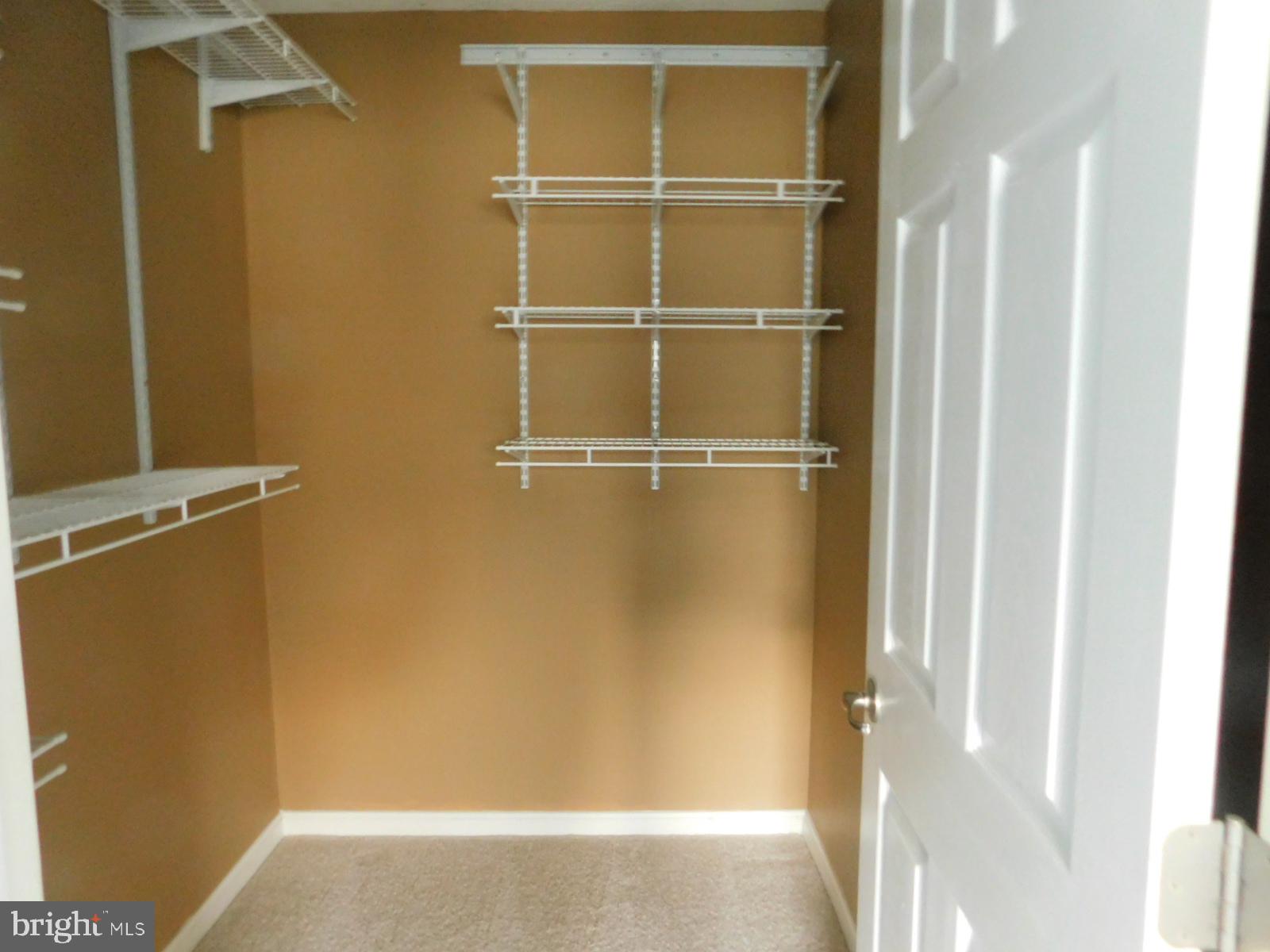5 Keppels Mill Court Rising Sun, MD 21911 - Photo 40 of 49 Spacious closet with organized shelving.