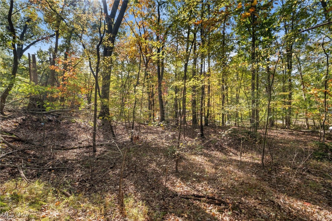 West Comet Road Clinton, OH 44216 - Photo 9 of 26 View of local wilderness