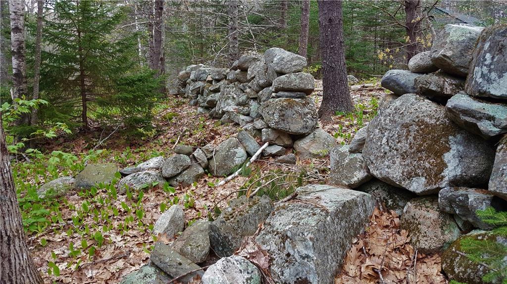 14 Boot Road Round Pond, ME 04564 - Photo 17 of 24 Stonewalls delineate paths through...