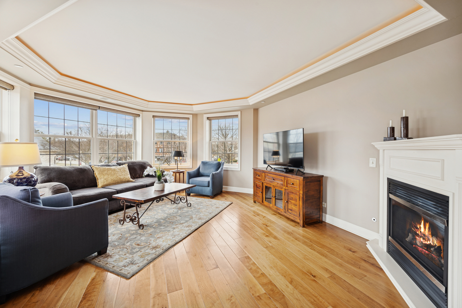 10 East Burlington Street, Unit 2B Riverside, IL 60546 - Photo 9 of 38 a living room with furniture and a fireplace