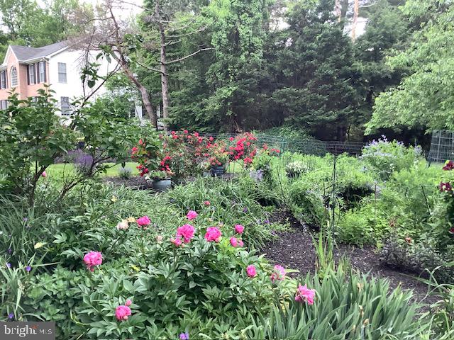 7031 Ridge Road Frederick, MD 21702 - Photo 54 of 57 Look at those Beautiful Flowers!