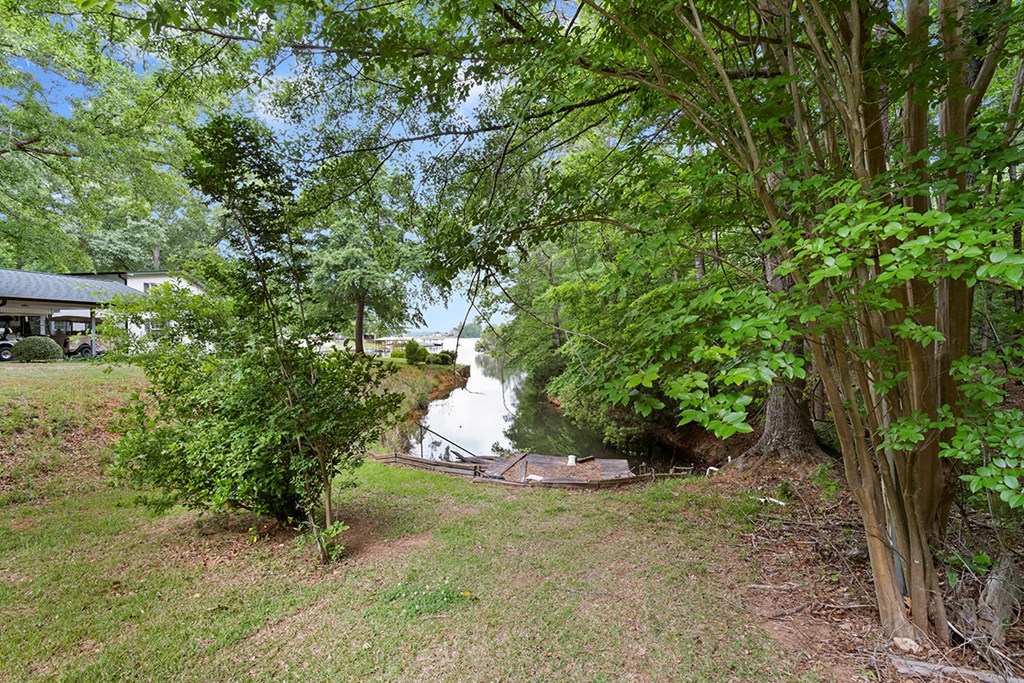 3060 Scurry Island Road Chappells, SC 29037 - Photo 19 of 22
