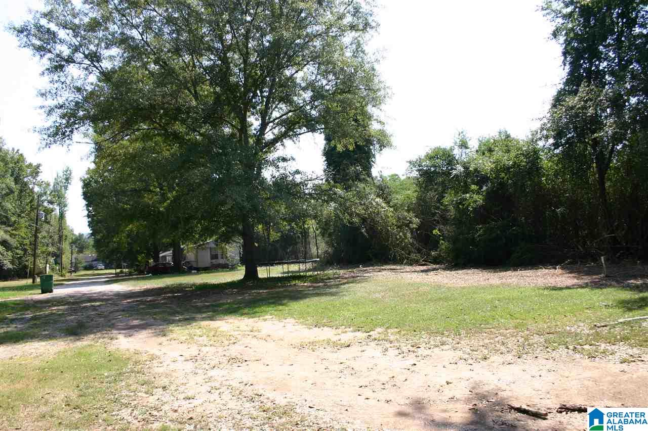 Gallman Lane Talladega, AL 35160 - Photo 10 of 19