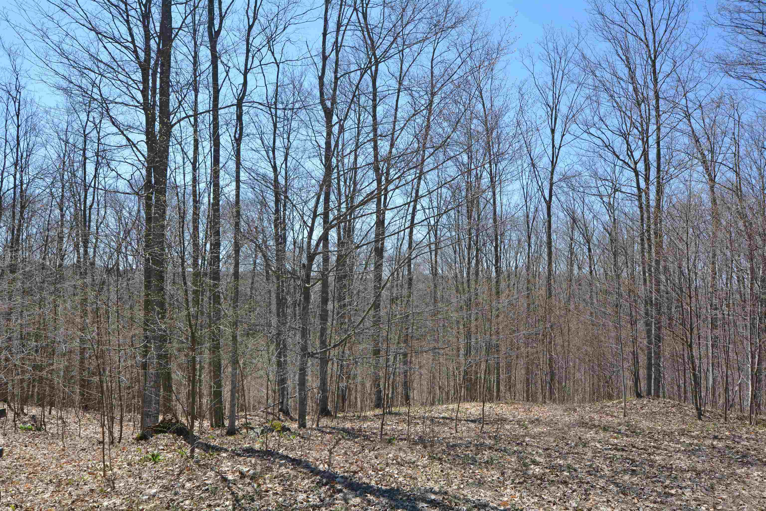 11100 Fewins Road Honor, MI 49640 - Photo 29 of 34