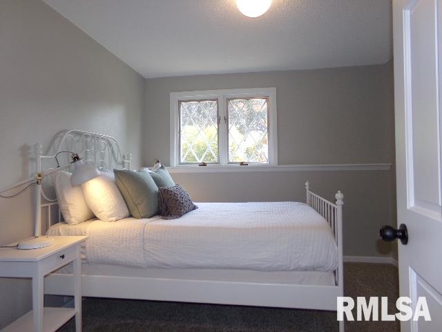 122 Locust Street Bennett, IA 52721 - Photo 17 of 36 Gallery Image 17