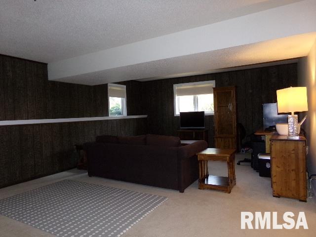 122 Locust Street Bennett, IA 52721 - Photo 18 of 36 Gallery Image 18
