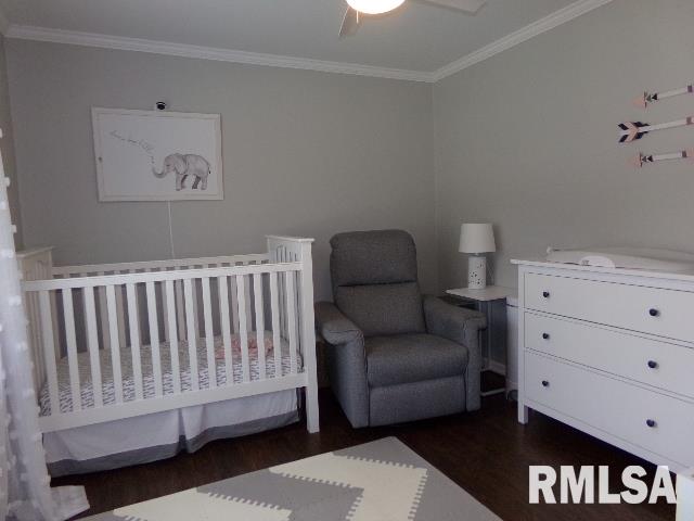 122 Locust Street Bennett, IA 52721 - Photo 34 of 36 Gallery Image 34