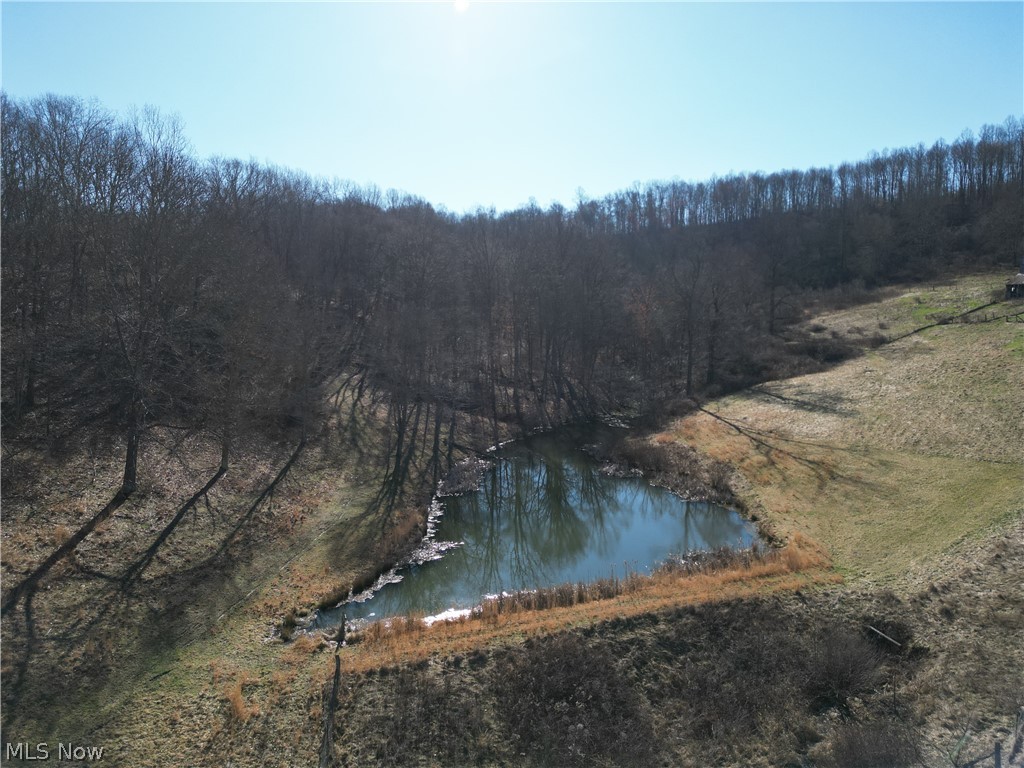 31785 Piedmont-Freeport Road Freeport, OH 43973 - Photo 6 of 50 STOCK POND