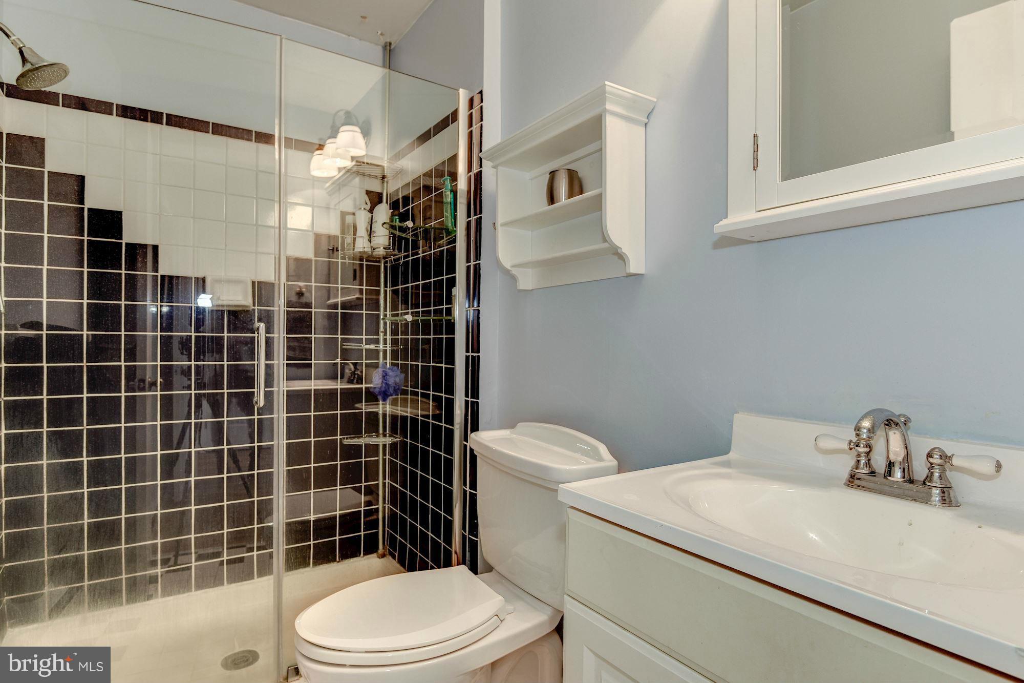 11905 Hunting Ridge Court Potomac, MD 20854 - Photo 21 of 29 Semi-Private En Suite Bath