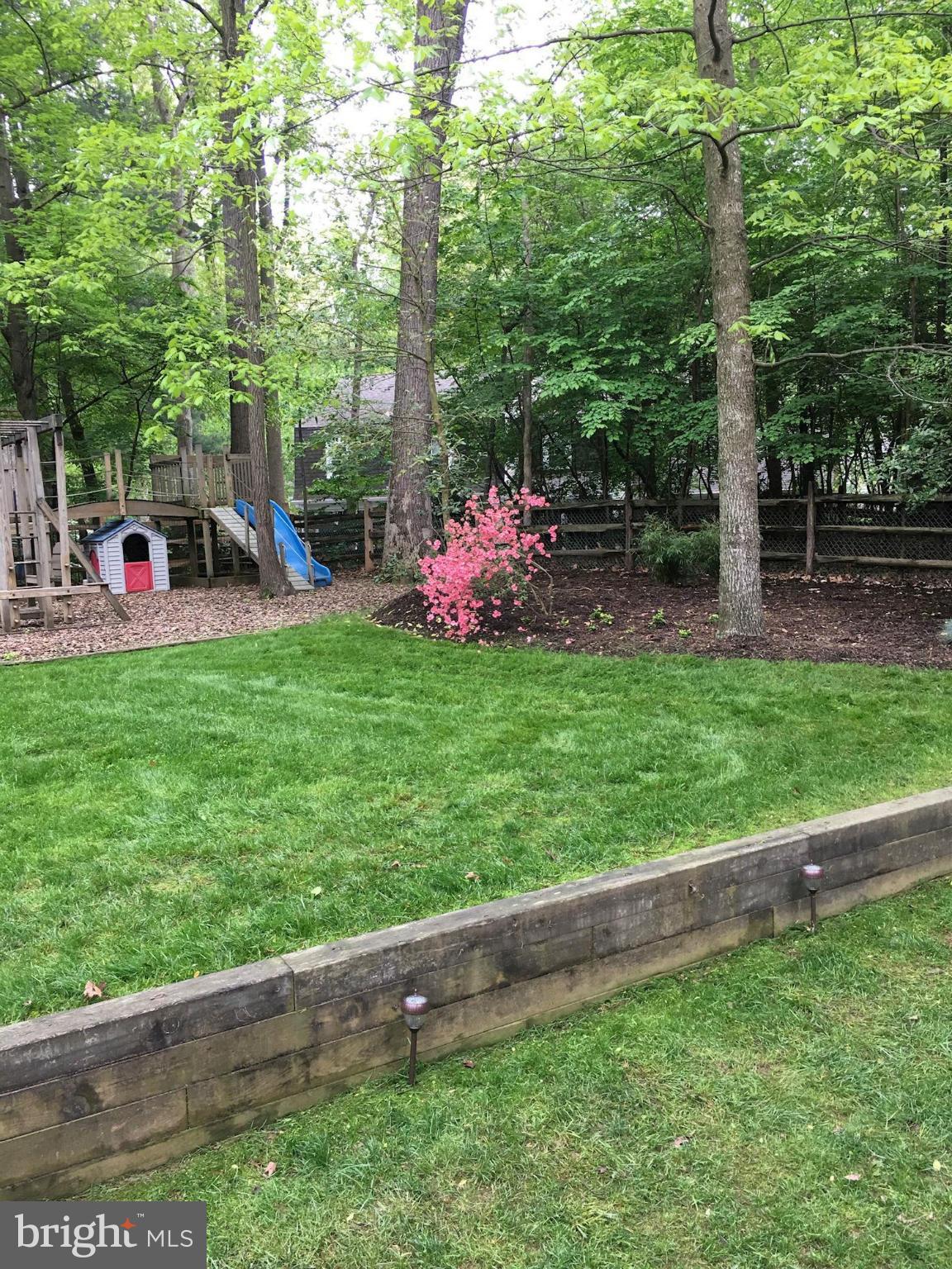11905 Hunting Ridge Court Potomac, MD 20854 - Photo 26 of 29 Landscaped Yard