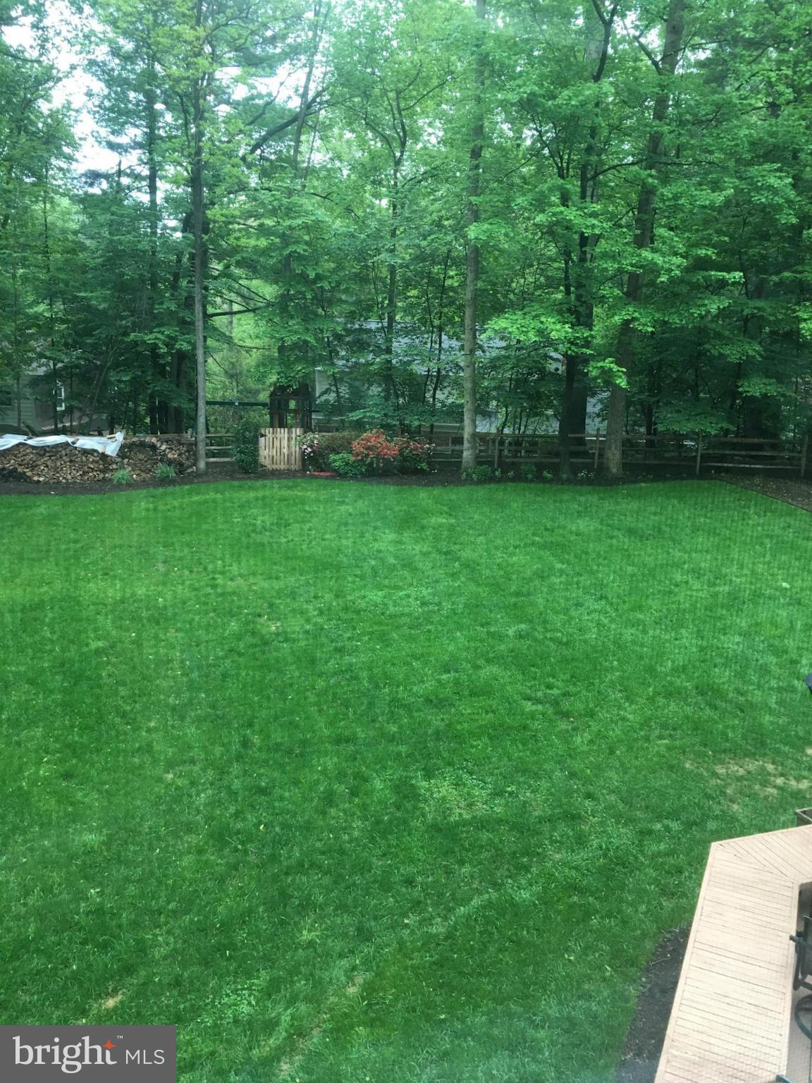 11905 Hunting Ridge Court Potomac, MD 20854 - Photo 27 of 29 Landscaped Yard