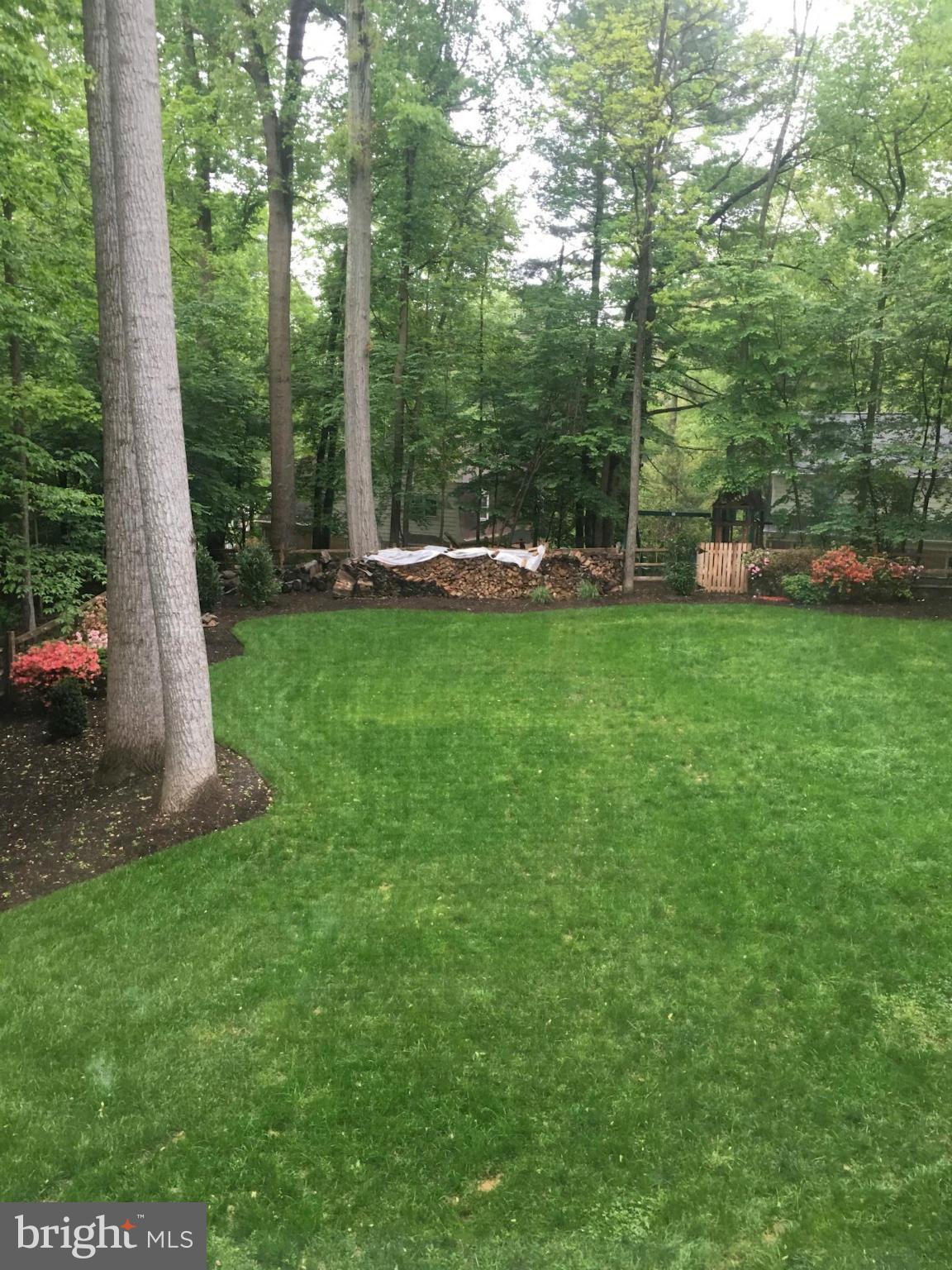 11905 Hunting Ridge Court Potomac, MD 20854 - Photo 28 of 29 Landscaped Yard