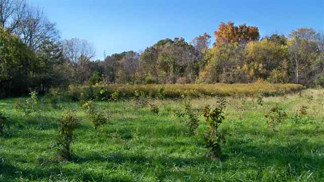 0 Ladd Ipava, IL 61441 - Photo 4 of 6 Gallery Image 4