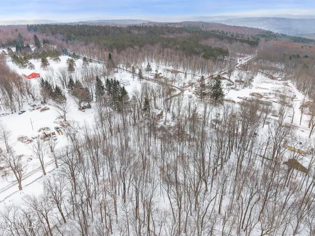 $42,000 | 109 Rossman Hill Road, Summit, NY 12175