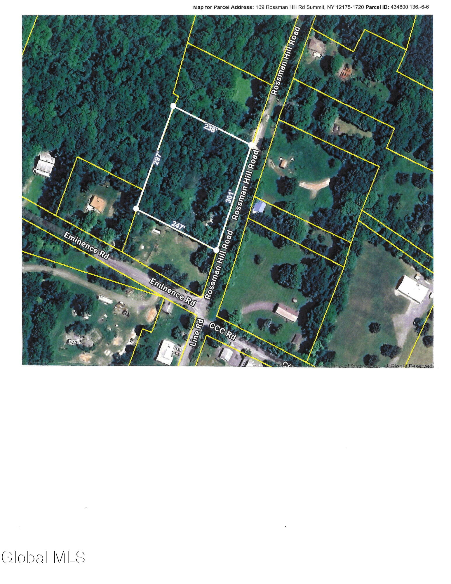 109 Rossman Hill Road Summit, NY 12175 - Photo 12 of 12 20251202112349_00001