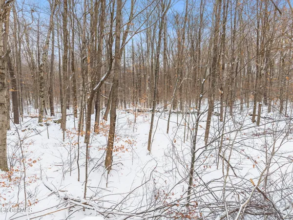 $42,000 | 109 Rossman Hill Road, Summit, NY 12175