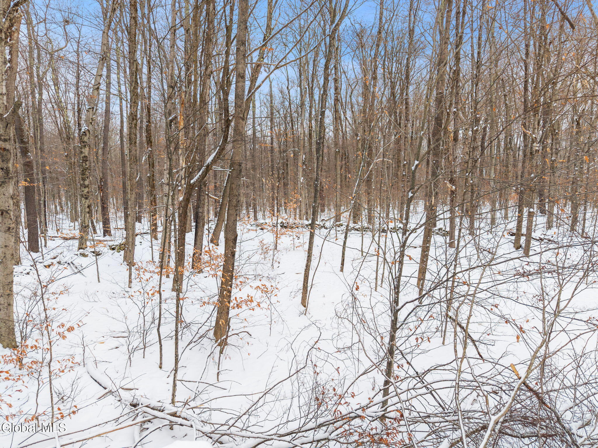 109 Rossman Hill Road Summit, NY 12175 - Photo 6 of 12 6-109RossmanHillRd_06