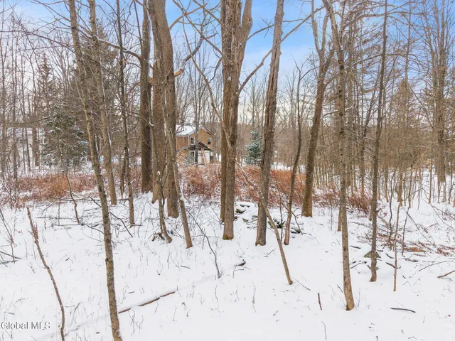 $42,000 | 109 Rossman Hill Road, Summit, NY 12175