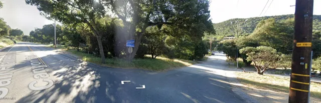 a view of a yard with plants and trees