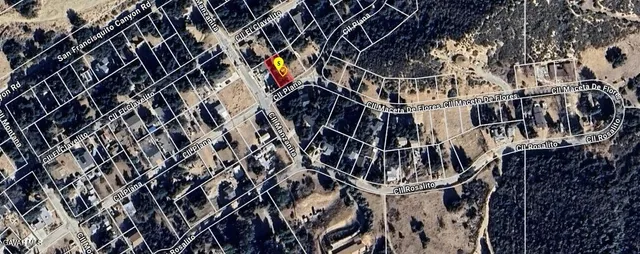 a view of pathway with a tree