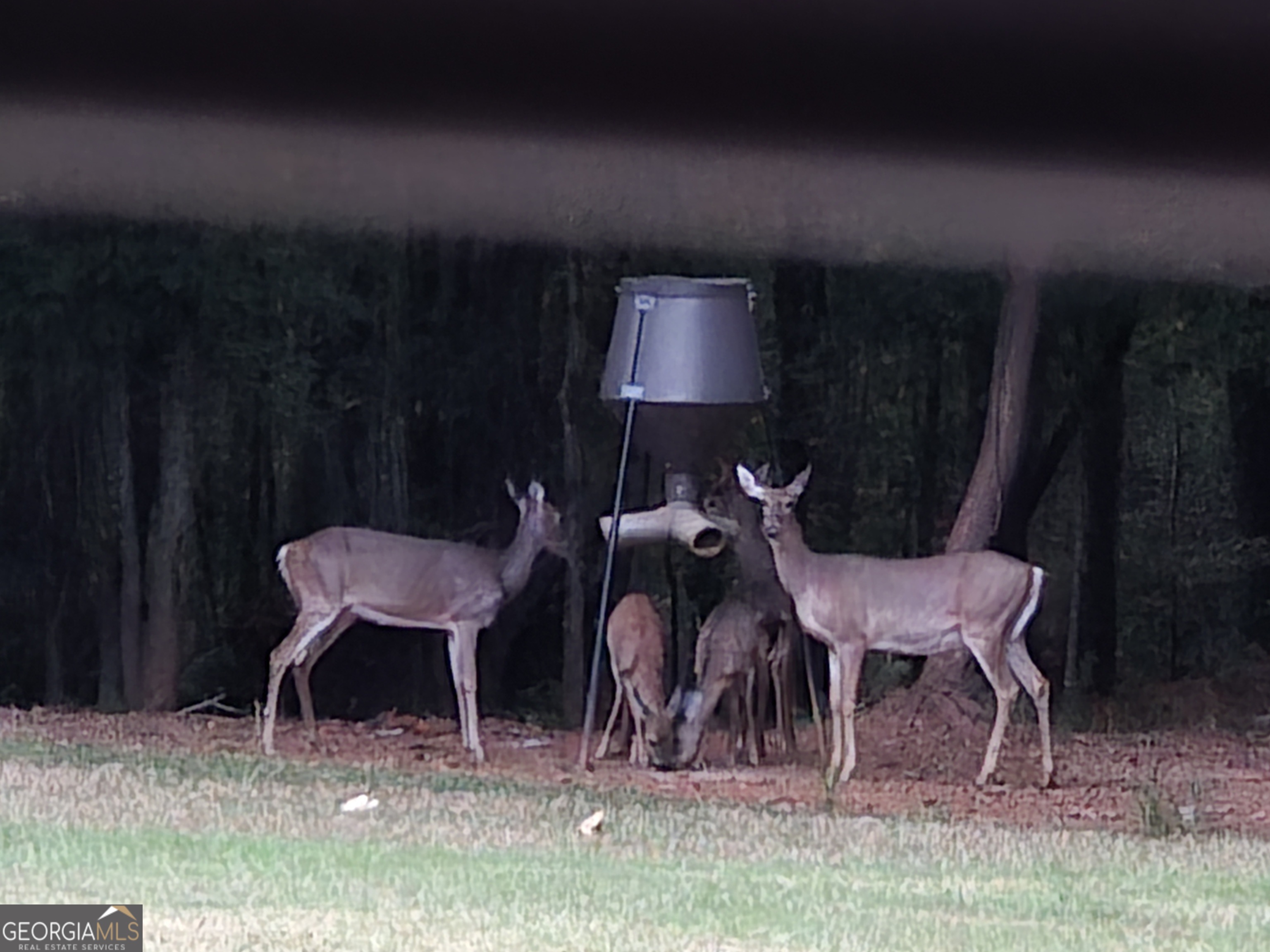 3060 Eatonton Road Madison, GA 30650 - Photo 64 of 65