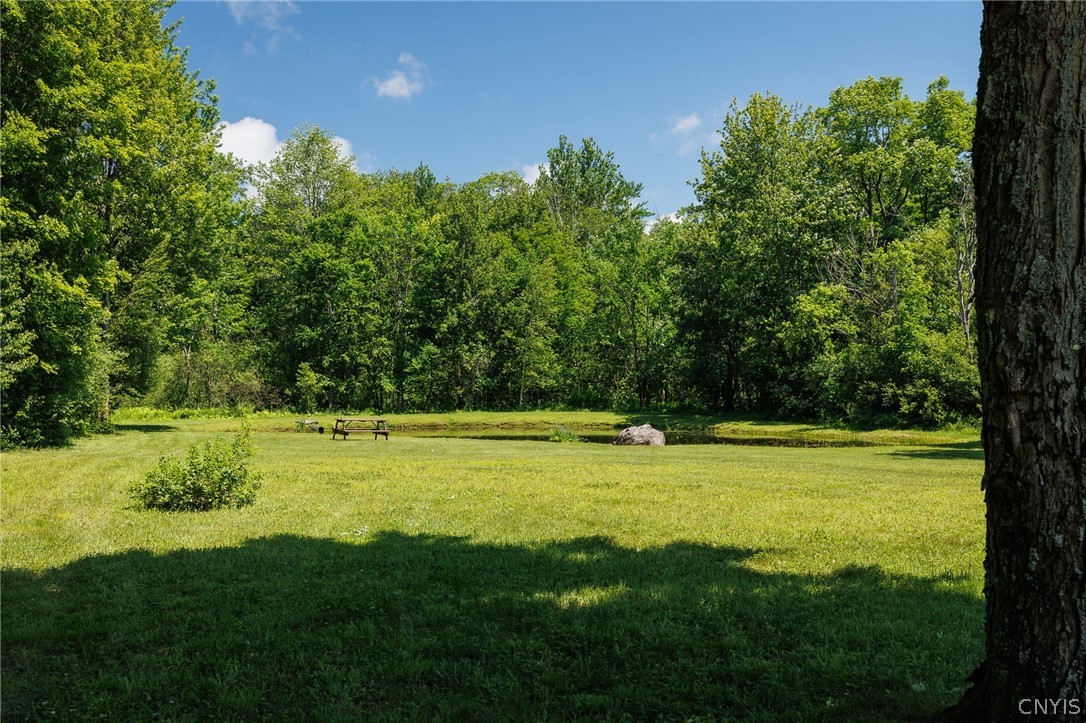 882 County Rte 13 Boylston, NY 13083 - Photo 38 of 49